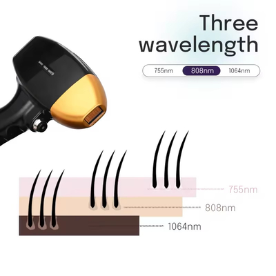 Niestandardowy epilator Bezbolesna usunięcie włosów Stały 808nm Diody Laser System usunięcia włosów usunięcie włosów ciała